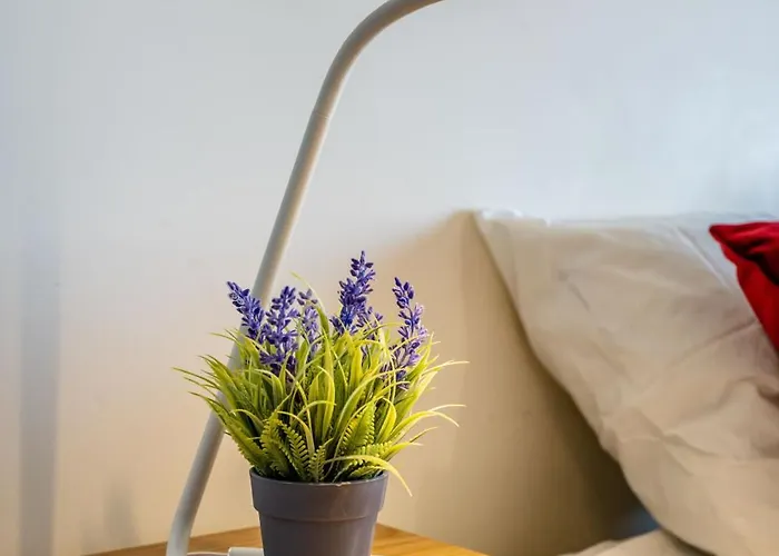 Choice Centric Appartement